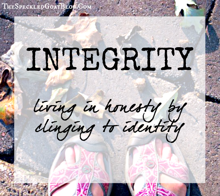 Christian devotion identity in Christ Jesus shapes who we are lies and honesty