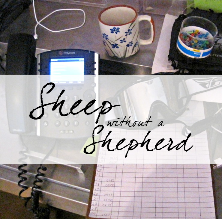 Sheep without a Shepherd: Interrupted | Life is full of interruptions, but Jesus saw them not as an annoyance, but as an opportunity christian devotion office interruptions and faith finding joy