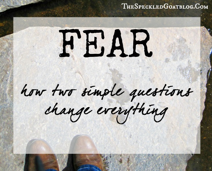 Fear: how two questions about our identity change everything. Who you are in Christ- and how that makes a difference identity in christ how to overcome fear christian jesus devotion about who we are in christ