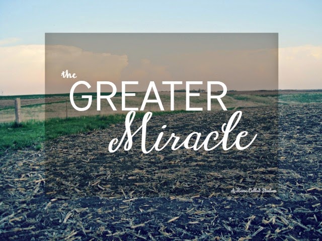 The Greater Miracle The Greater Miracle- Maybe planting a seed is the greater miracle. | http://bit.ly/1BjGFNU