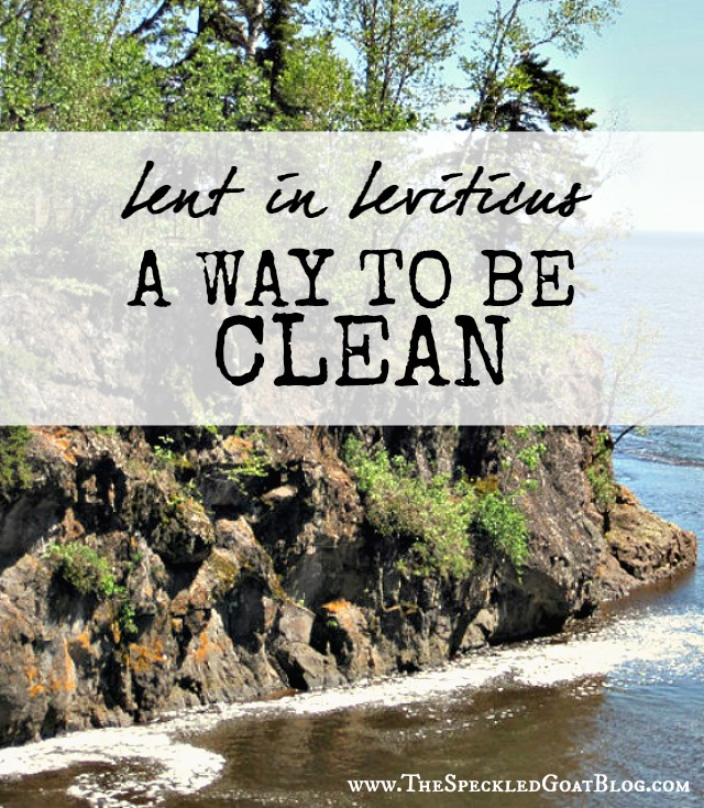 Lent in Leviticus: A Way to Be Clean | When the Israelites got dirty, germy, contagious and gross, they used the Purification Offering to be cleansed. But that offering was temporary-- God had a better plan... christian devotion devotional lent lenten short reading for lent leviticus bible study sacrifices and
