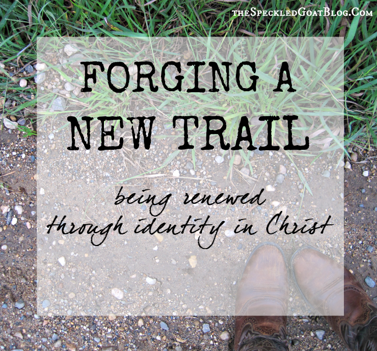 Christian devotion identity in Christ who Christians are transformed by the renewing of the mind