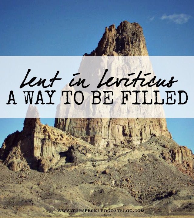 Lent in Leviticus- A Way to Be Filled | In Leviticus 2, we see Israelites making Grain Offerings as a way to thank God for providing their daily needs. But God had a bigger plan in mind, a plan to fill more than just physical bellies... christian devotion devotional lent lenten short reading for lent leviticus bible study sacrifices and Christianity