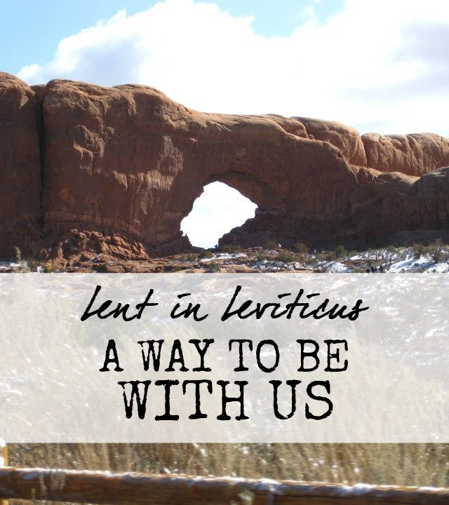 Lent in Leviticus: God makes a way to be with us- not just symbolically, but literally, tangibly, and transformingly. Join us as we look at the ways Jesus fulfilled each of the Levitical sacrifices. christian devotion devotional lent lenten short reading for lent leviticus bible study sacrifices and Christianity