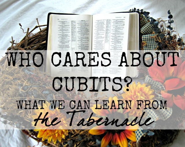 It's really tempting to skip over those insane, confusing details in the Bible. Who gives a rip about cubits, anyway? But when we really dig in to the truth of God's Word, we find many hidden gems. Here's what we can learn from all those details in the Bible about the Tabernacle!