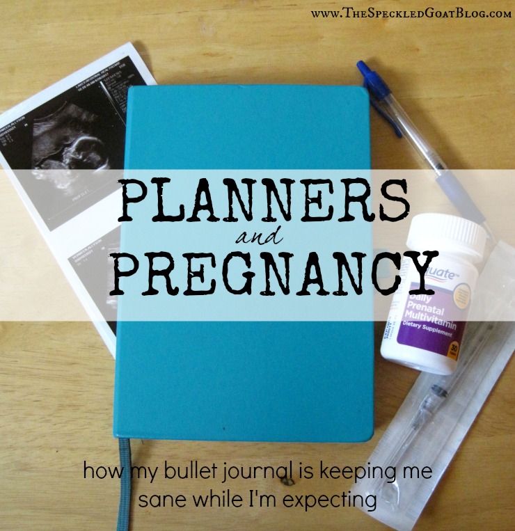 pregnancy planner bullet journal during pregnancy trimester while expecting planning during pregnancy