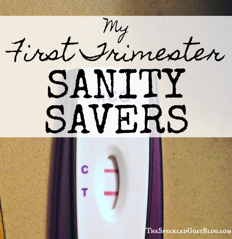 pregnancy morning sickness first trimester anxiety three months pregnant